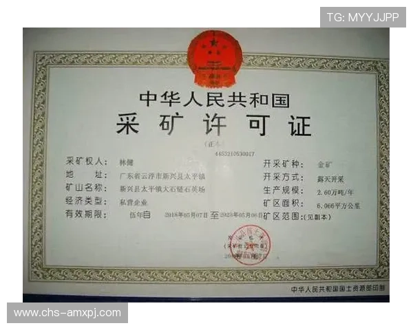 巴黎人赌场：巴黎人赌场的法律合规性与运营许可证详细说明