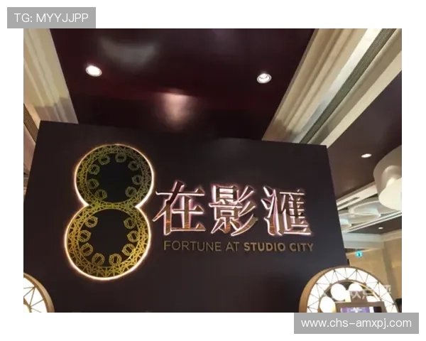 新濠影汇官网studiocity用户体验优化措施及常见问题解决方案